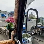 洋愛楓明仁の画像