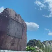 わかの画像