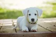 Mの画像