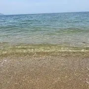 りゅのの画像