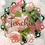 tenchinの画像