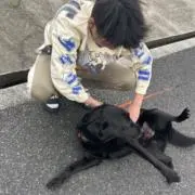 宮本