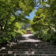 ヒロの画像
