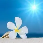 V❤︎の画像