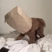 ねる