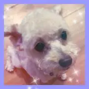 ミキティの画像