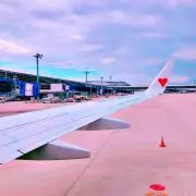 ちび太 徹底的に断捨離中！！の画像