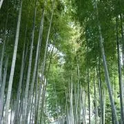 ☆あーる☆