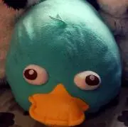 Syk