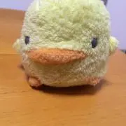 ひよこまるの画像