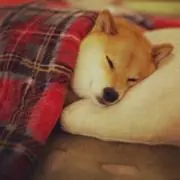 きこ★ちこ