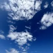 reoの画像