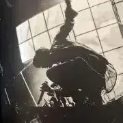 koyuの画像