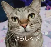 J.T②の画像