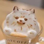 honoの画像