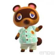 たぬの画像