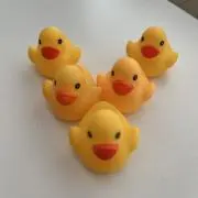 こんぶの画像