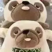 ノアの画像