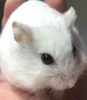 Yutaaa