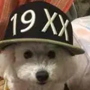 fujimonの画像