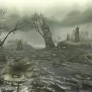 タシン