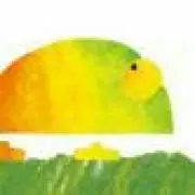 Miiの画像