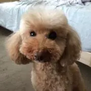 ひろき