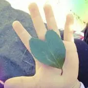 りんごの画像