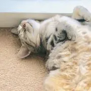 美咲✩.*˚の画像