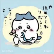 Kの画像
