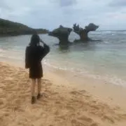 れなの画像