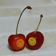 さくらんぼの画像