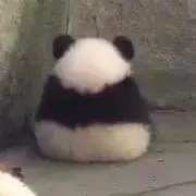 kuuの画像