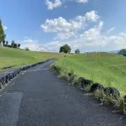 soraの画像