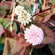 あまママ ☆プロフご確認下さい☆