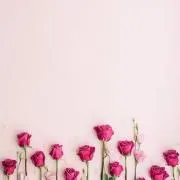ののの画像