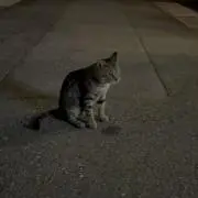 ずんの画像