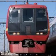 しぶいかきの画像