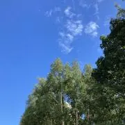 a&t即購入OK⭐︎の画像
