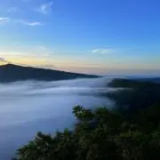 Hachiの画像