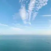 momoの画像