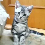 あたる