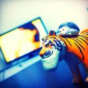 ジャルの画像