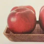 r_t_j_t