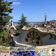 Riiの画像