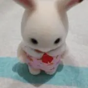 AJMの画像