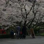atsuの画像