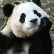 えみの画像