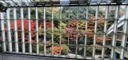 chico☆即日発送！の画像
