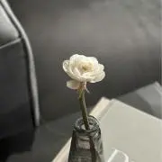 &